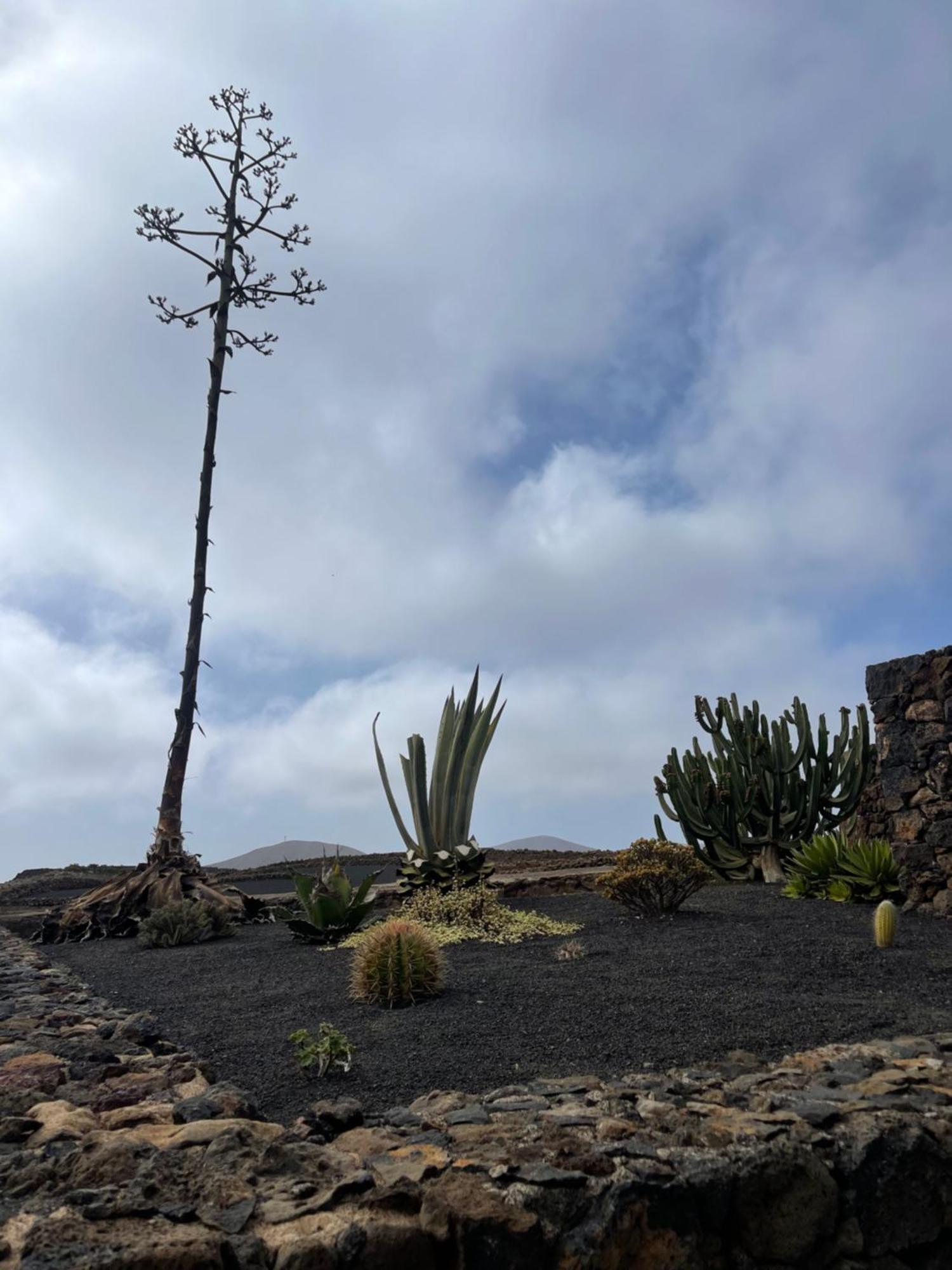 Villa Timanfaya Тинахо Екстериор снимка