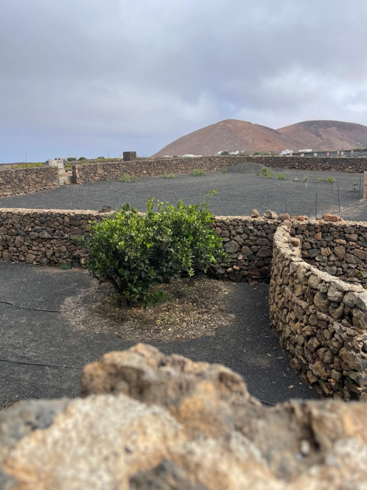 Villa Timanfaya Тинахо Екстериор снимка