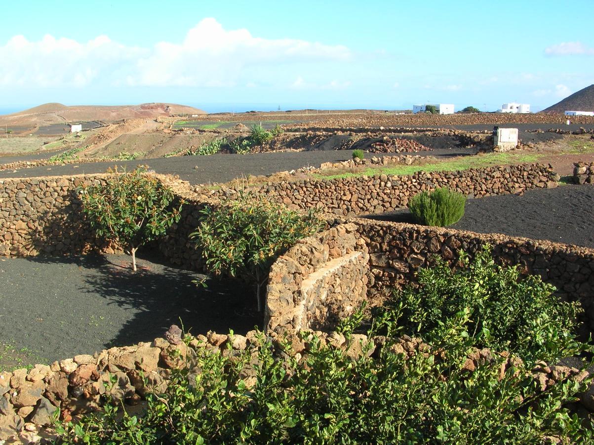 Villa Timanfaya Тинахо Екстериор снимка
